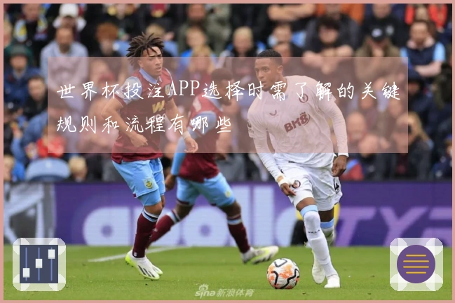 世界杯投注APP选择时需了解的关键规则和流程有哪些