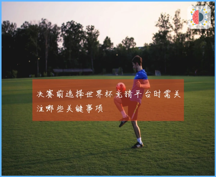 决赛前选择世界杯竞猜平台时需关注哪些关键事项