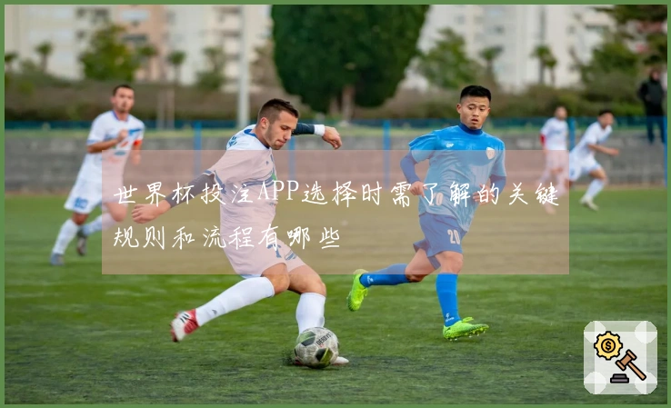 世界杯投注APP选择时需了解的关键规则和流程有哪些