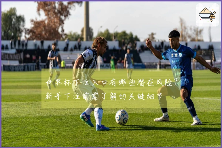 世界杯下注入口有哪些潜在风险？新手下注前需了解的关键细节
