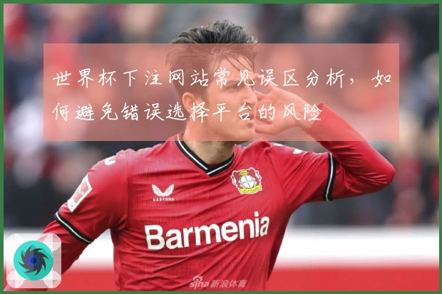 世界杯下注网站常见误区分析，如何避免错误选择平台的风险