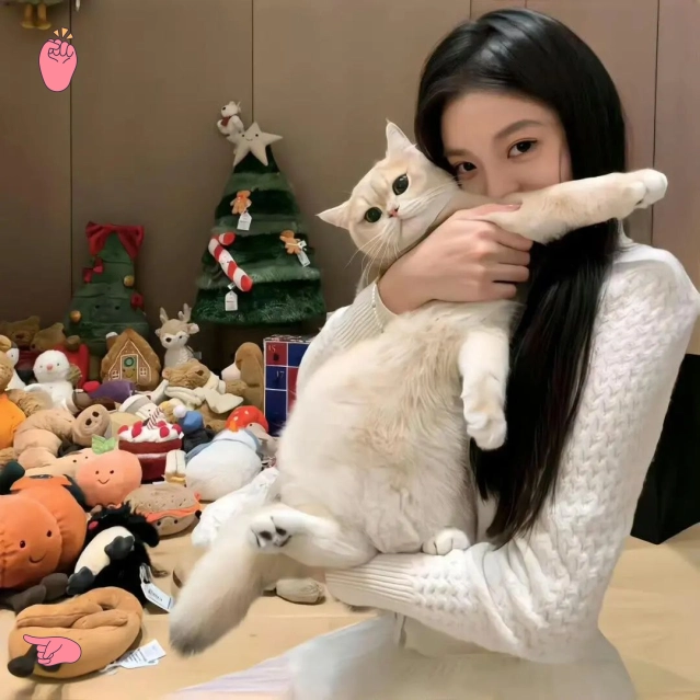 阿杰